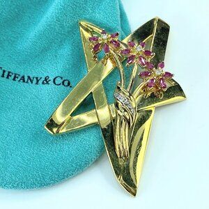 Tiffany & Co. Paloma Picasso Ruby Diamond Star brooch in 18K gold JR9244